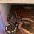 Downsizing Snake hobby 6 thumbnail