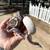 Female Ball Pythons REHOME OR TRADE 4 thumbnail
