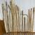 Walking Sticks & Canes 1 thumbnail