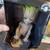 GROOT can hold your cell phone or game controller-  NEW in Box, cables 2 thumbnail