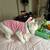 Turkish cat 8 thumbnail