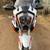 2023 KTM Super Adventure 1290 R 2 thumbnail