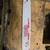 Oregon 16" Bar for Jonsered and Homelite Chainsaws 1 thumbnail