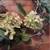 Pretty Fall Hydrangea Wreath - Indoors or Out! Retails $113 2 thumbnail