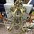 Vintage Heavy Brass + Crystal Chandelier and Art Deco Light Fixture 3 thumbnail