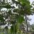 Bioscaping 3 thumbnail
