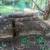 Free firewood 2 thumbnail