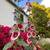 Bay views Available until December 31st only! 1-3 Bedrooms 2 bath 5 mi 12 thumbnail