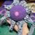 Crocheted Pink Purple and Blue Octopus plushie 6 thumbnail