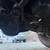 1996 Ford F250 Fummins 9 thumbnail
