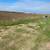 LAND FOR SELL 5 thumbnail