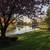 Shared living, home w/Privacy 5 thumbnail