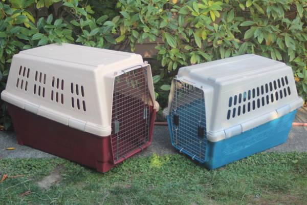 Large Plastic Pet Kennels from $35 each 1