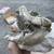 Fossil and Rock Collection 9 thumbnail