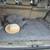 2006 Honda Pilot EXL 7 thumbnail