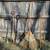 Misc. Farming / Garden / Yard Tools 1 thumbnail