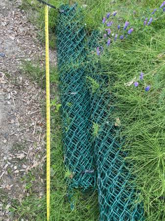 Green chain link fence 1