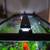 Complete 65-Gallon Custom Freshwater Aquarium Setup - Vibrant & Well-E 4 thumbnail