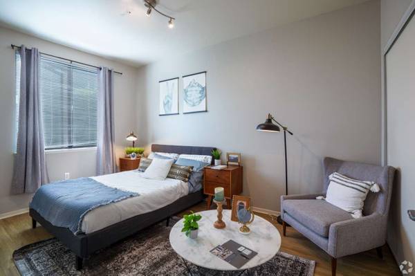 Large Closets, Online Rental Payments, Large Windows 1