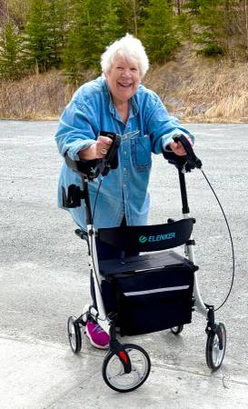 Upright Walker for Sale 1