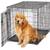 Dog Crate 3 thumbnail
