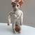 Rare Bunny Doll Hand Crafted Painted Face w Natural Eyelashes & Stand 7 thumbnail