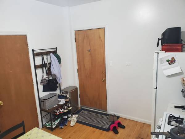 $1,800 / 2br - 850ft2 - UKRAINIAN VILLAGE TWO BR REHAB, IN UNIT LAUNDRY, ON QUIET LEAFY BLOCK! (Wicker Park)63781655045123124