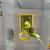 Parakeets with the cage setup 3 thumbnail
