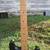 Fender Stratocaster Limited Edition Jimi Hendrix Black 2016 4 thumbnail