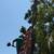 Landscape ,tree trimming ,weed removal,slopes,tree removal,landscaping 9 thumbnail