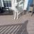Siberian Husky 1 thumbnail