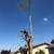 Tree Service / Tree Trimming / Tree Removal 5 thumbnail
