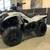 2023 Kawasaki Brute Force 300 4 thumbnail