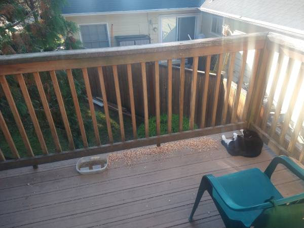 $625 / 1br - 110ft2 - $625 todo incluido Habitación privada con baño compartido (Portland)63831327668609123