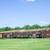 Schedule Your Tour of Washington Gardens Today - AC & Pet Friendly 3 thumbnail