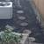 UFree estimate Landscaping and junk removal services 9 thumbnail