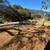 Carmel Valley Dreams 19 thumbnail