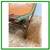 Ramon Castellano For Kalma Bamboo + Leather Collapsible Chair 8 thumbnail