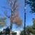 Timber / I-beam 1 thumbnail