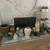 Woodland Hills estate sale open from 4 PM to 5 PM 4 thumbnail