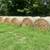 Bermuda / Fescue mix 4x5 Bales 1 thumbnail