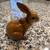 Porcelain Rabbit Figurines (5) 6 thumbnail