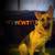 Female German shepherd 2 thumbnail