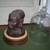 Wood Carved African Female Head under Glass Dome 1 thumbnail