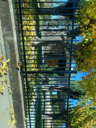 Buscando trabajo adicional en sacramento (Sacramento)63881395199619121