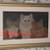 RARE 19th CENTURY WATERCOLOUR /GRAPHITE KITTENS PAINTING 1 thumbnail