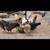 Chicken Coop and Chickens 6 thumbnail