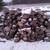 Boxelder Split firewood 2 thumbnail