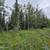 1.05 Acre lot with electricity near by, off Funny river road 10 thumbnail