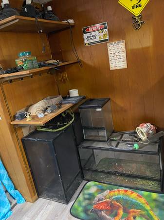 Reptile tanks (Cumberland)63149032895105122